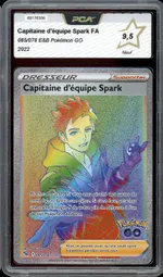 Auction visual on GCC