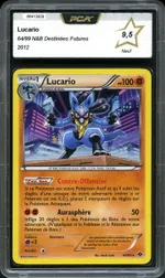 Auction visual on GCC