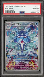 Auction visual on GCC