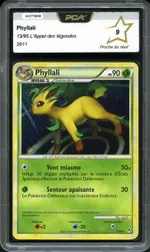 Auction visual on GCC
