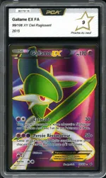 Auction visual on GCC