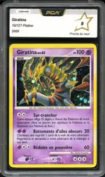 Auction visual on GCC