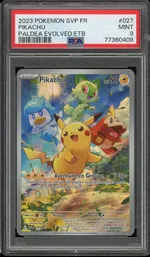 Auction visual on GCC