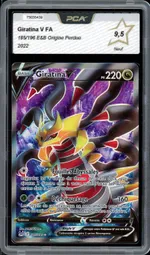 Auction visual on GCC