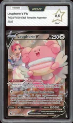 Auction visual on GCC