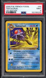 Auction visual on GCC