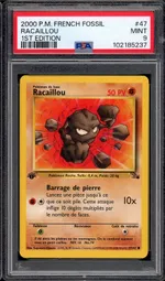 Auction visual on GCC