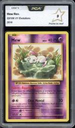 Auction visual on GCC