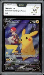 Auction visual on GCC