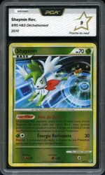 Auction visual on GCC