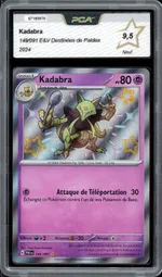 Auction visual on GCC