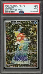 Auction visual on GCC