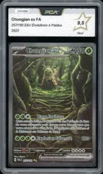 Auction visual on GCC