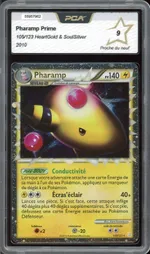 Auction visual on GCC