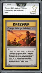 Auction visual on GCC