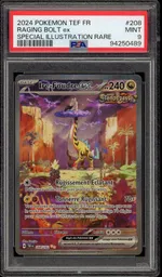 Auction visual on GCC