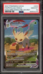 Auction visual on GCC