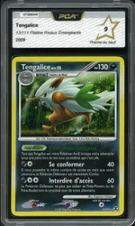 Auction visual on GCC