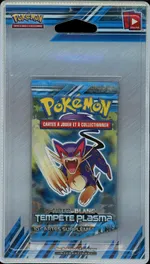 Auction visual on GCC