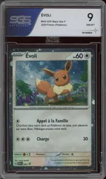 Auction visual on GCC
