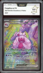 Auction visual on GCC