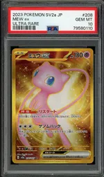 Auction visual on GCC