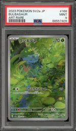 Auction visual on GCC