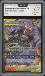 Auction visual on GCC