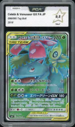 Auction visual on GCC