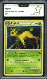 Auction visual on GCC