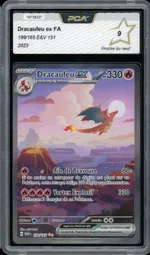 Auction visual on GCC