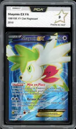 Auction visual on GCC