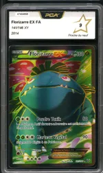 Auction visual on GCC