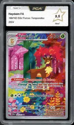 Auction visual on GCC