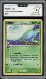 Auction visual on GCC