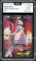 Auction visual on GCC