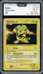 Auction visual on GCC