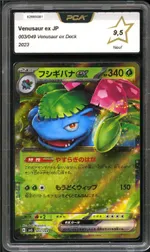 Auction visual on GCC