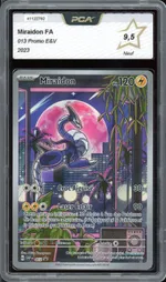 Auction visual on GCC