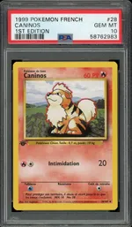 Auction visual on GCC