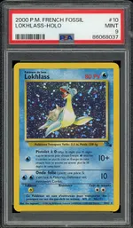 Auction visual on GCC