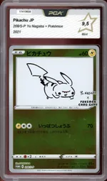 Auction visual on GCC