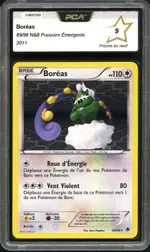 Auction visual on GCC