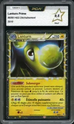 Auction visual on GCC