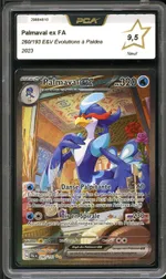 Auction visual on GCC