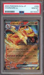 Auction visual on GCC