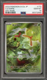 Auction visual on GCC