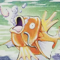Magikarp