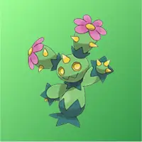 Maractus