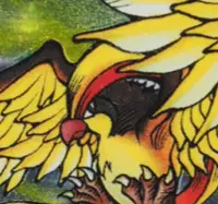 Roucarnage